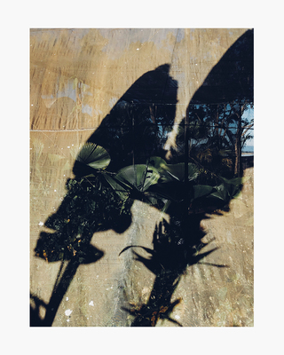 Inhotim, Brazil 2019