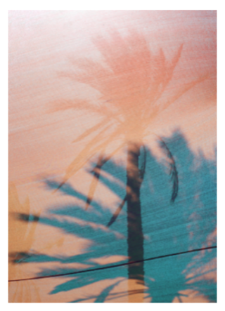 Trees. 70x100cm print on fabric. 380€. Edition of 5. (50% Off)